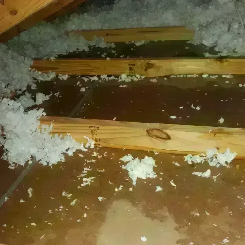 Attic Water Damage in Tanner, WA