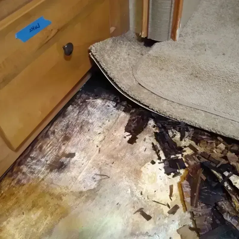 Wood Floor Water Damage in Tanner, WA